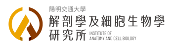 陽明交通大學解剖學及細胞生物學研究所