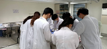 此圖為縫合儀式照片5